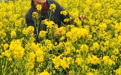 菅谷梨沙子快播